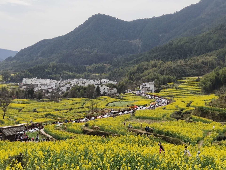 d-fa0vCfLCDjb_8US3IIY0n86YA2IiVO5vWo5ZP4uhhi_3PgZP7rgN__oNR9_uSm