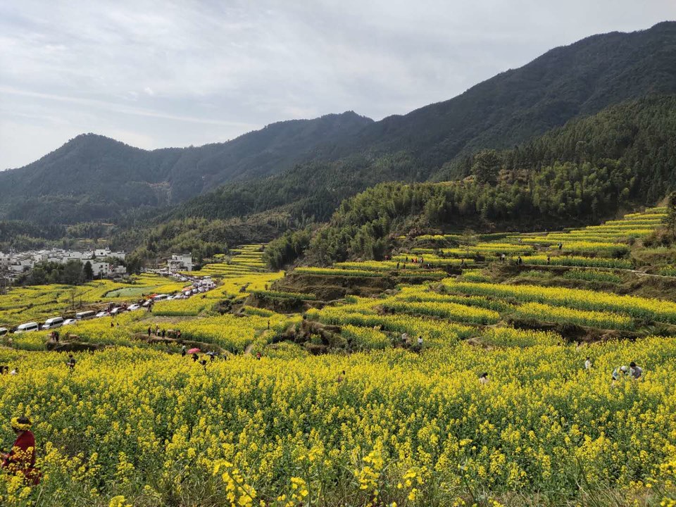 7Ax8iZ7FJMoNktL3vzjFmY_1bstArmJQCxPP7Tob7ru6hlwSn2Ge_175ICDf3MMJ