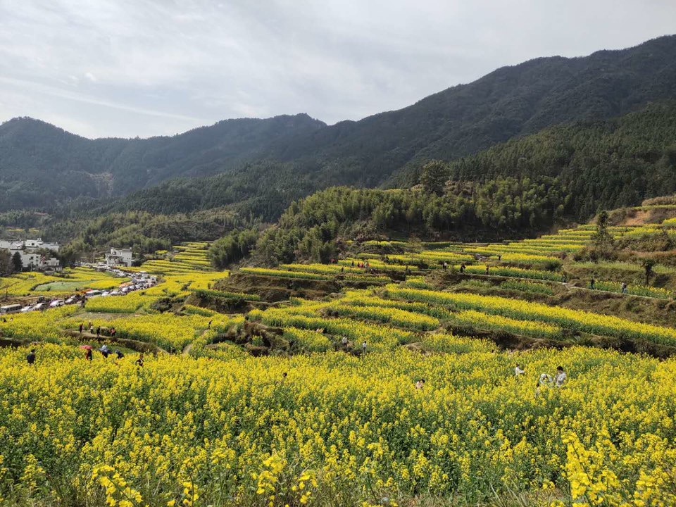 Wo4X4yVylDx4gZeZdsr4USyCdjUcaAp_iJAe25C6-rVHy8Wp5KBSOKjtoXl7wC-3