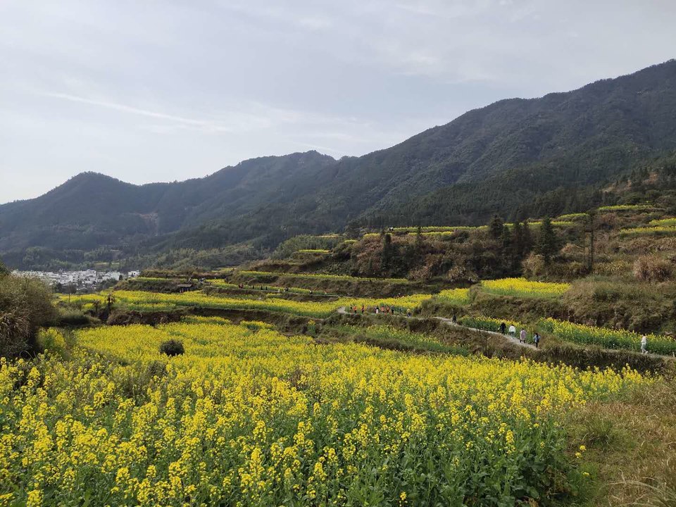 6KqPOrcgB8KG3ZvKmGQRUbcSDMwOyw3eC70P8NV3xwY9EP9sUFtmINkjGgXjlYp0