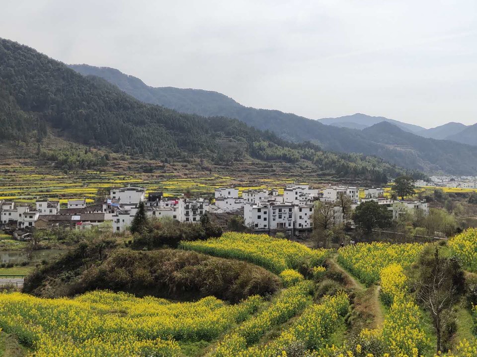 AzzOdtkxxCC19zeCeWGpKnk626dyY9-D9plRRHtNhBP2DYTCHSQklBIeasU_jDQE