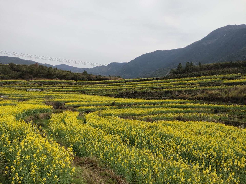 FmRmt-8tGb9OVyju_InyMdzcj1zsT1Nf4suid7BYWBbNC3uulyM0l2iMjjpgJbeb