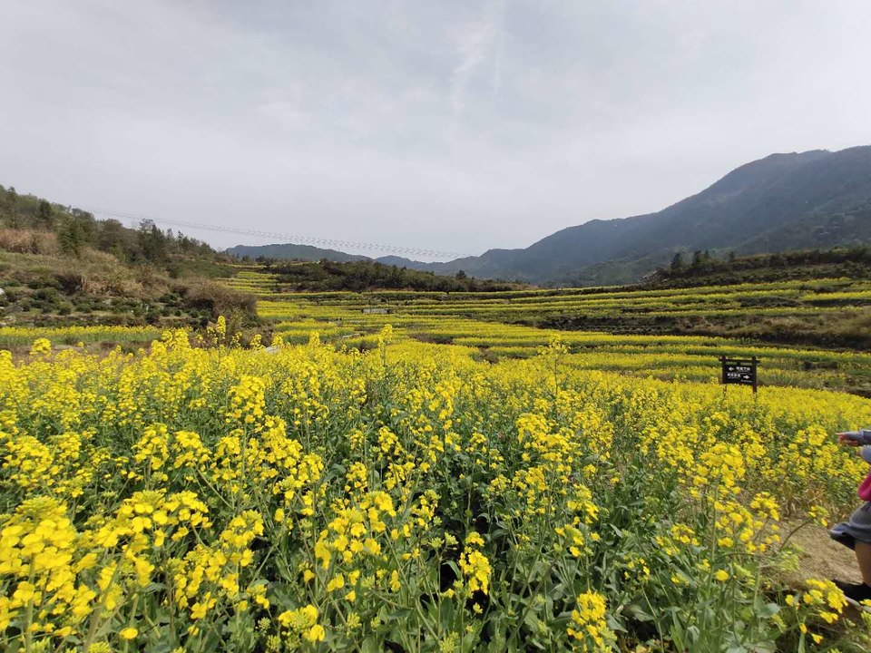 n18zKdDxYlSb1Midtlje_c-EgZlkYKzD_QWePTf_0G4HwFytnUssPo7izGTiFe9-