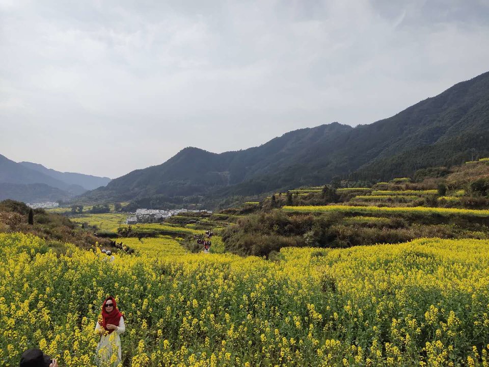 jg_sl6Zjeqc3oh6AlxACKfUkrYx9utkdmXZfaP2tWchYzZxlS350DUydmZoour_9