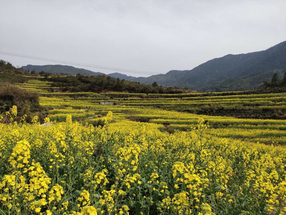 h_SV1At6v_iWFr4l7u5oHaSGEdOG0wnl3AaTWyAFRtbiBua341NKtYUcF0UDDE7l