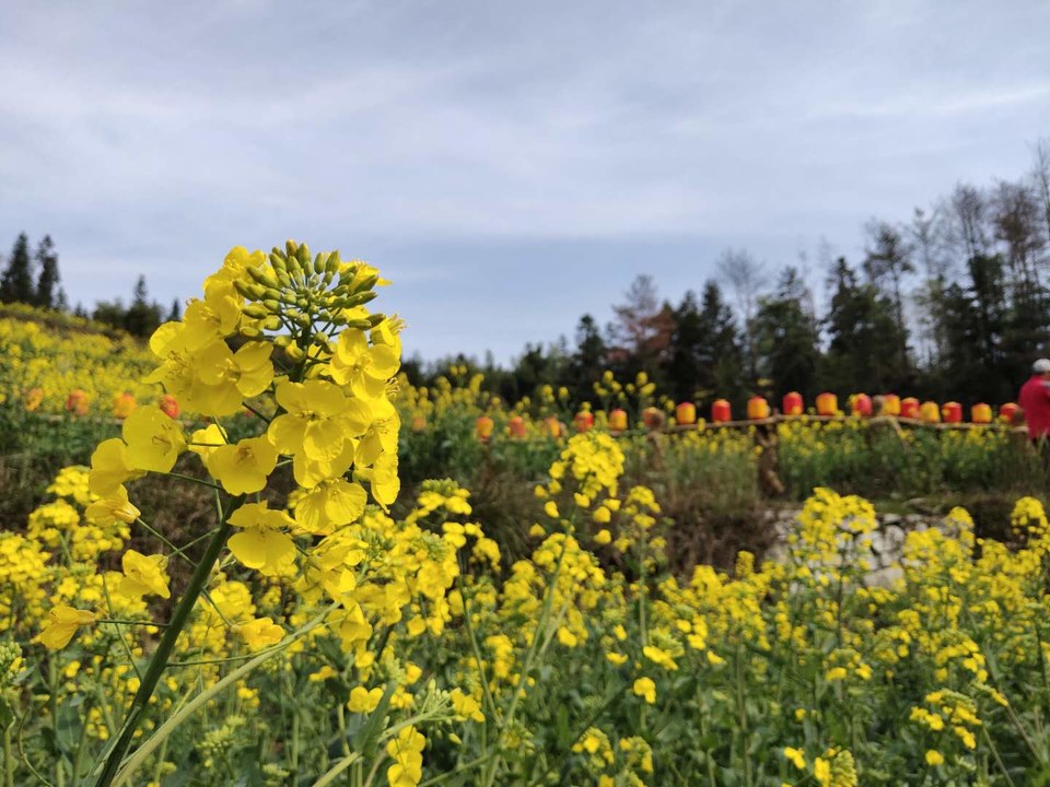 MK8McdVEGumxaqpsOaF702XPdOwsCAyixA9LVdA16ys4eM9aKr2nEiCEIVUfRvEm