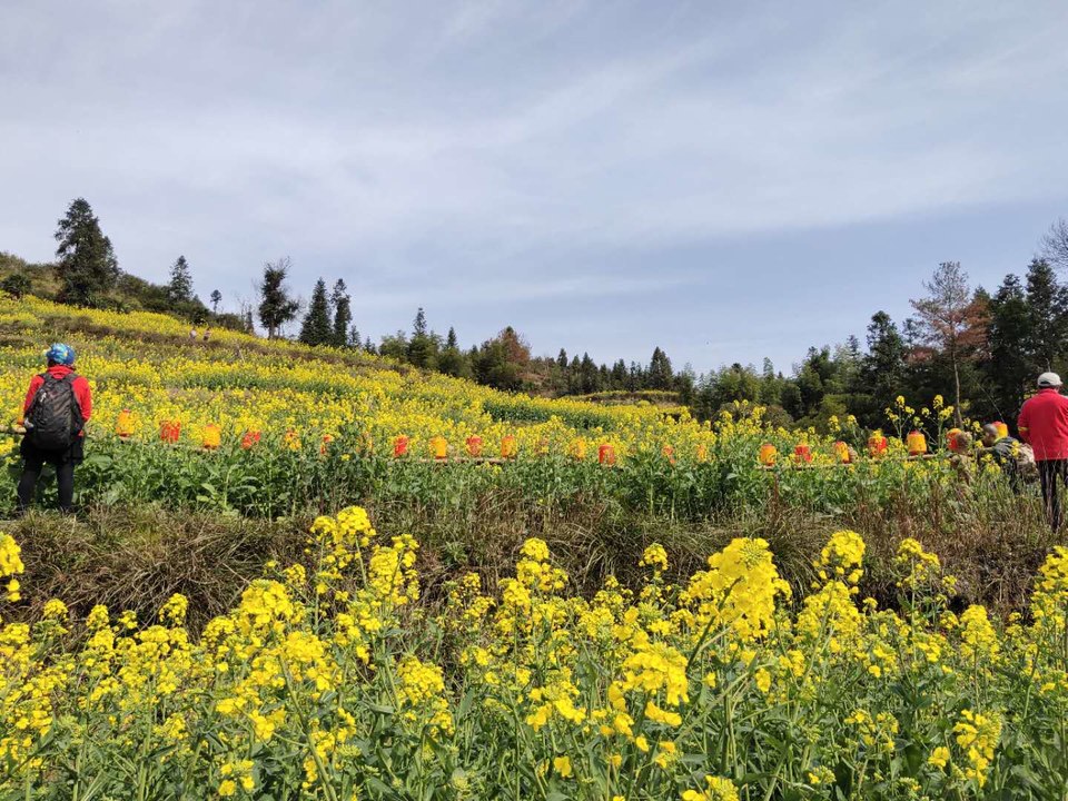 ajgGBsjSzJCKrWWbBiJ_ljeWGCLRBDCe_43rrxi-gdCen0xA7EumlOlkL5PSAJvx