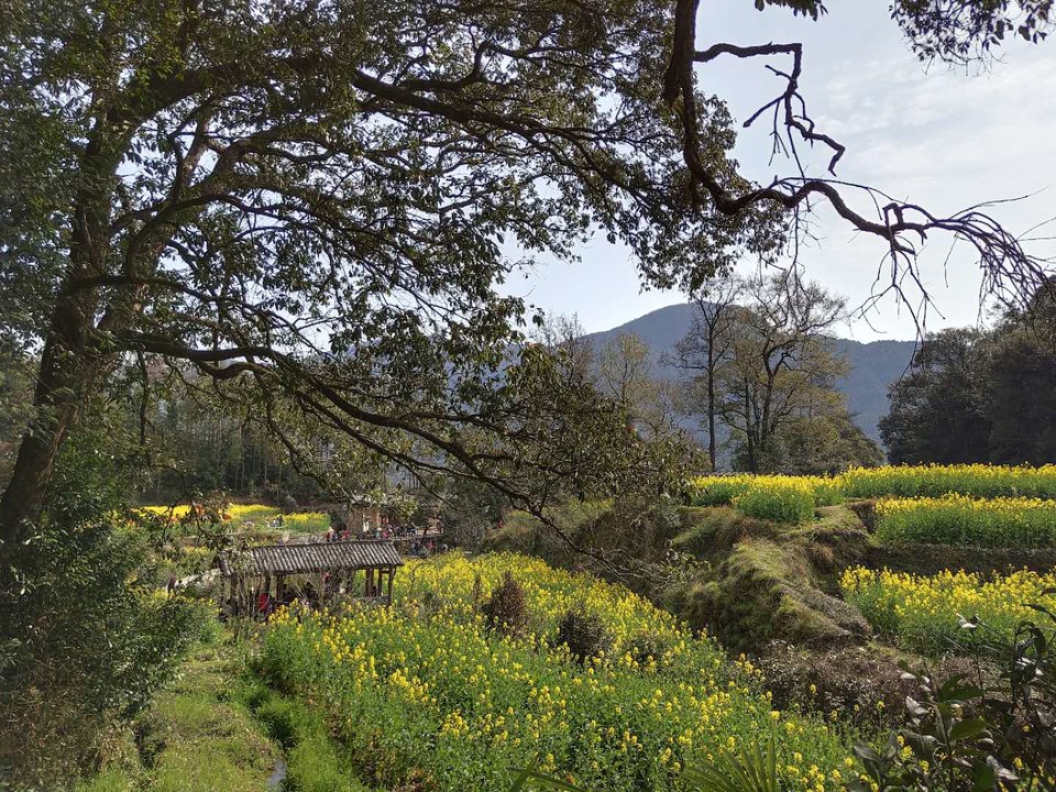 6dBWqKBrH13-k3g4okYzu-DKoeBggq9kkHGJNnPMwlOiTfyr6HMa5WQXVZDq_jvG