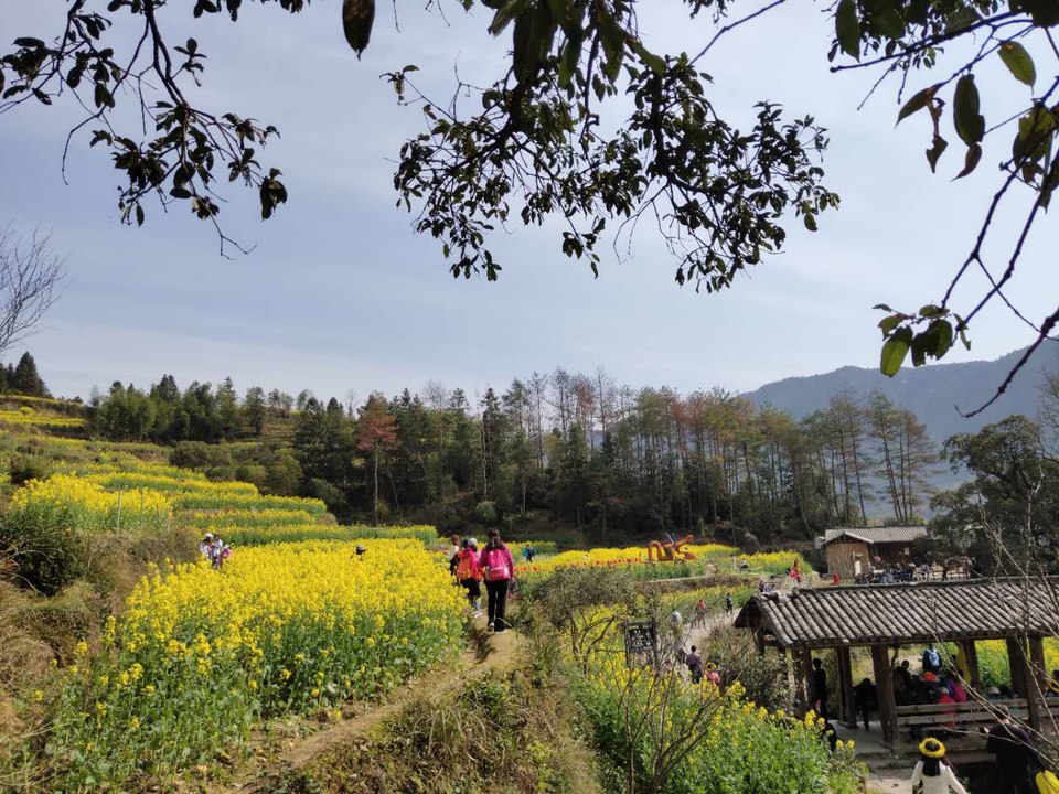 kDYfOP-HMWDDd1nz6q7vqSIR-FsJj63taJmA27OvhhPTmf6PckqIhPRLipU-ihmh