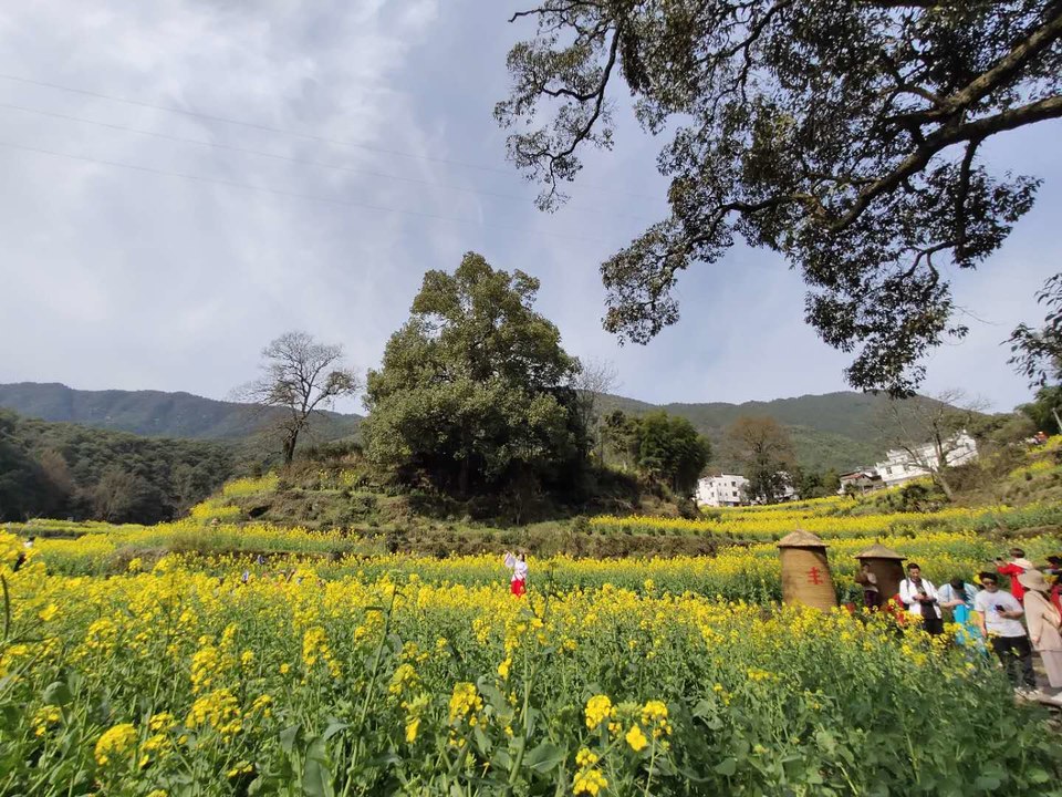 lMjPPUHVB5NFKphHkACrAk2boUtr9srJGX32P5PTAldXAwfE2v59EMZSS1pZtgxK