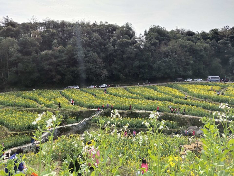 2JEG8U9cSOX3lzxXa4jUhx1SnByFTXydSqtLx-At6bLodMztyhCar9GtmJRMBisX