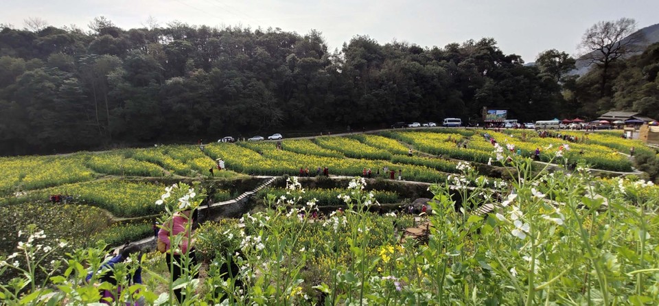 eM8GBQSFdB7BiHVnw1cOMloDsZL1yH_CyV9ki7qXyUBIwz68qgxHzm6hMLTnC75e