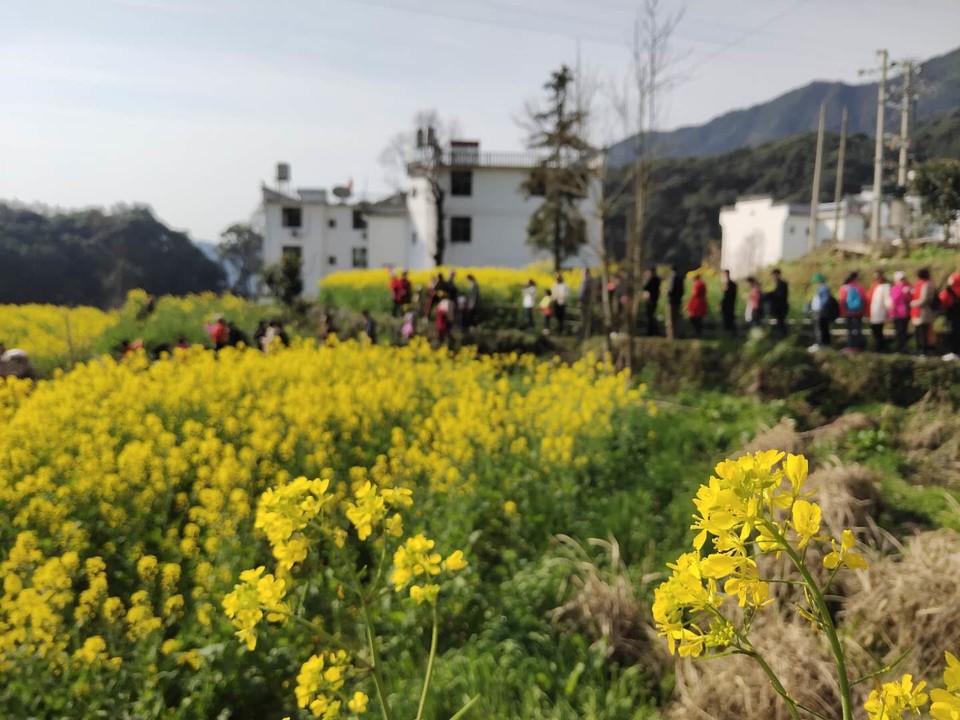 L19E2LKlX2PFuPosxe0McA8wVRga6nQF6xhiGLqtjp53YKvuvy2qONqbPTfNLKpG