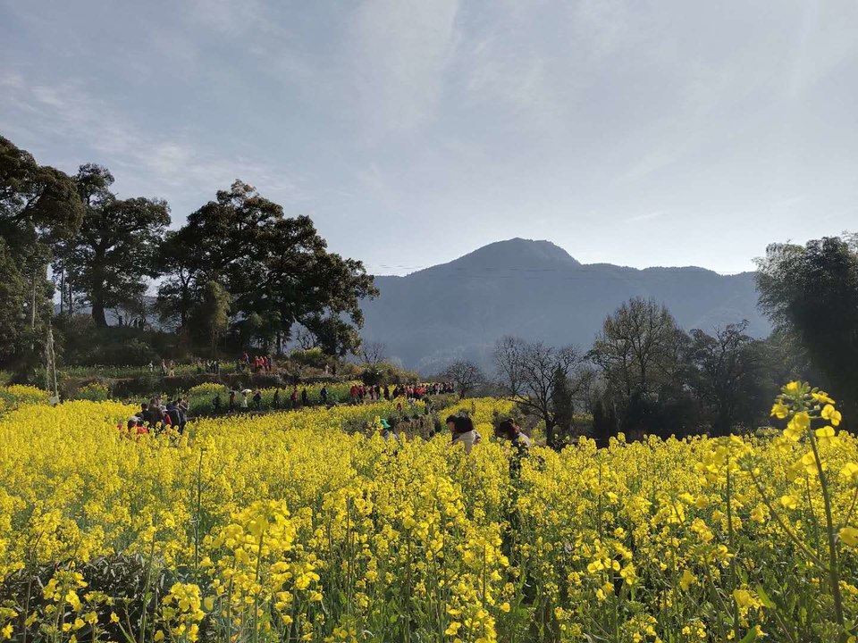 rfhd0usQd4reth11QTqNjv-lF6bzVWJfazTHFNzEMRruai2CUJUUVdLMCLXv-TMC