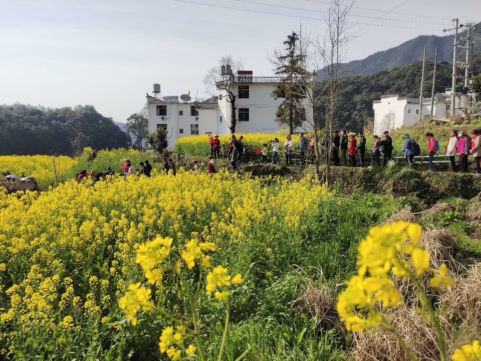 oPPUSvRU27xVMi08Mvt0Wi-lBZnhwn3HRFpDCo4eFf8IvLW1B-R4X_YjzAVx7rVQ