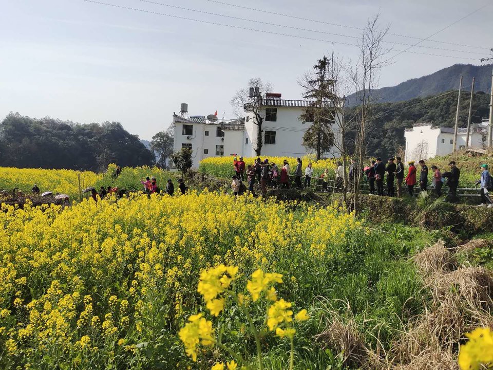 i5h6sG_hV0O4Ak-VRXIy0JGsL03zU3wf5CUxKtUjnbxgXGh15Q27nvwRJLg9jtEU