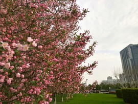 rDHyMwYIAACHxfoNStm602p9fPxsd5K_SdP4NEaAvA41HziAvZgnB7jrFQ1u71n_