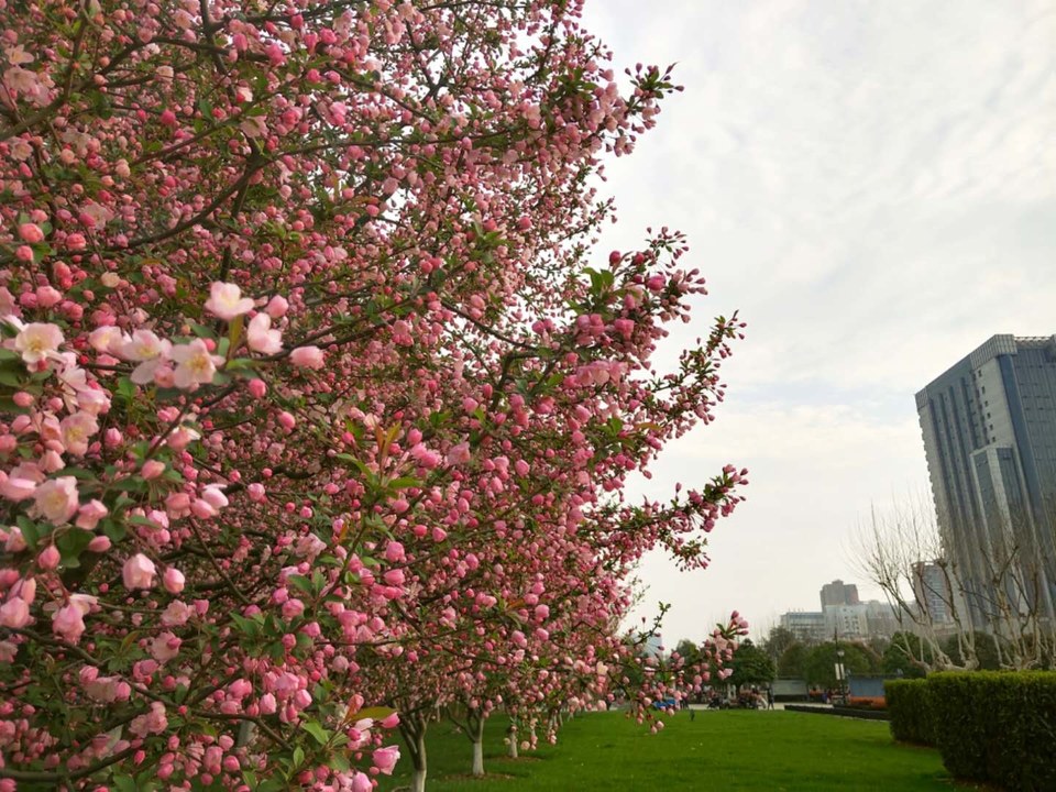 rDHyMwYIAACHxfoNStm602p9fPxsd5K_SdP4NEaAvA41HziAvZgnB7jrFQ1u71n_