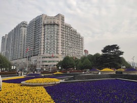 Hodwn247XYmEBi8puCxe9rdbRlcxB0cC192geLD35FC2ZHPyem_1C58Mz9A8-RX3