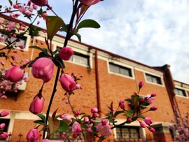 -tW3foTpR4aa-xpdIhZc4GPMrufmRBc1x2IN1cbEinaiMKQoulYTFX_x8ke2QcBO