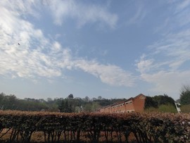 f0jRFdxMzL_qT74_YzXXHm7enOUQRKyBGv_byQGfHWMaAkm8enA2sEFuCx2x273S