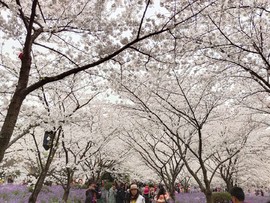 EdwRgcC6T_Ei1OnqmGFFzfzXXVCBfJNFQ_M2Oj359UmvbaW6AUmpYYNCp_T3XC01