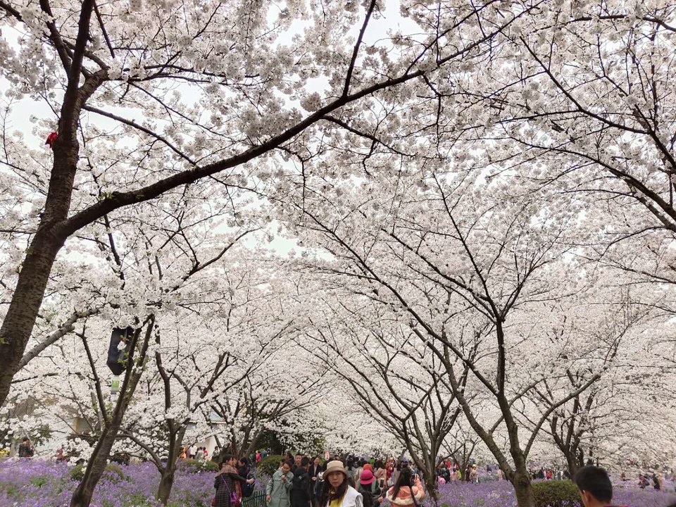 EdwRgcC6T_Ei1OnqmGFFzfzXXVCBfJNFQ_M2Oj359UmvbaW6AUmpYYNCp_T3XC01