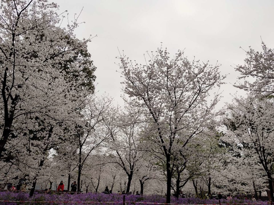 UQ0CDfIGDXcLmt6PNelz3h9S1pKRhGAAiCPxiYrOsqi62H4vkKSkb2ZvyVuyjkXF