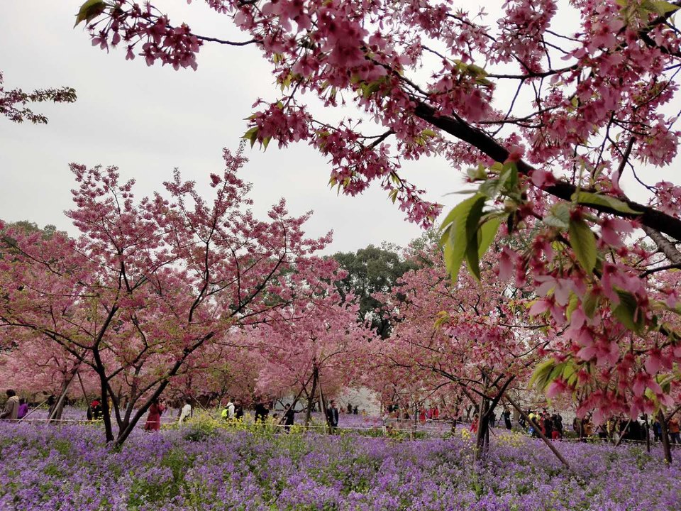 NYO7XpSsu3aqc4Uria2VSnQKN2anDH5L9IzqQNVg3HSrhVtwyFfakhWe3KFd9FMr