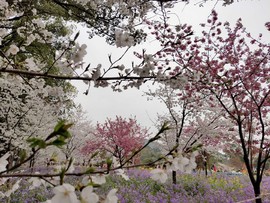 rgbtv3kic9kFA86vgAndVAxiyLdhUyqxHfxppm_cmU-sS-hticYWxlloZW3x3kdD