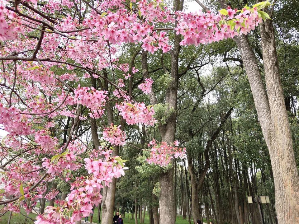 0jq6604OznQrxCE35s5q8epJXZu-U-2FMkUb4I3R8y7CK9ZuTMNeDW_3jLqMAnZp