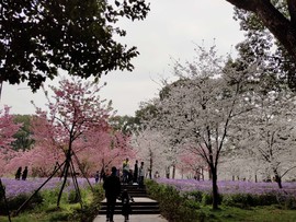 hOz43zatcFAN6wWMQJI-prBnpSmgpGZORKtvQNZCIN1bcjE321pA3TbloXZBWYXb