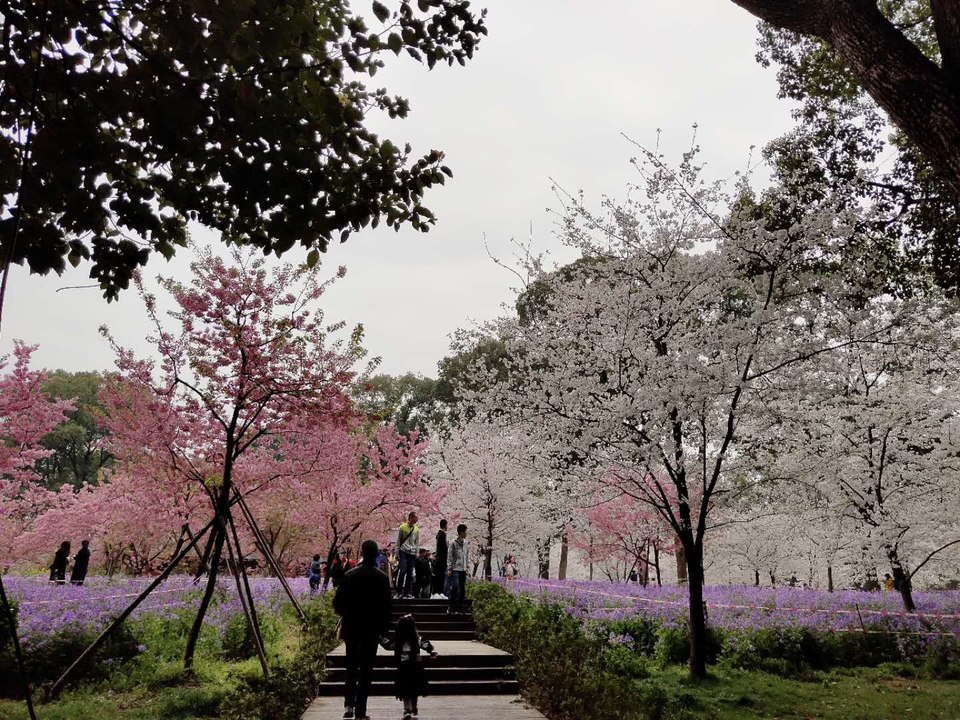 hOz43zatcFAN6wWMQJI-prBnpSmgpGZORKtvQNZCIN1bcjE321pA3TbloXZBWYXb