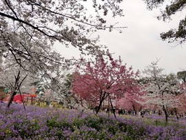 sS9-4zxwHCu5KqL5LBDbivfFlIdntSXZlLIJN7fcnjwdn_-jKKUu0J9eZYLaCLKB