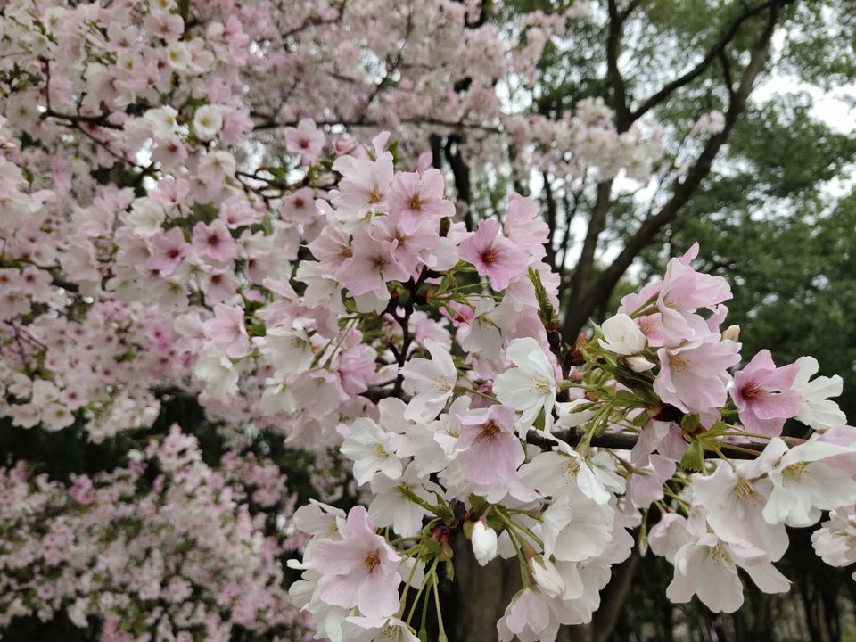 qd0Rmq_RPI-A7g_69Eb8aLFhNfwQ3wm-A9rSci8EkRdZeLBMff7DoNU_EDWh4JIs