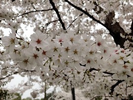 4SjPsTvn4SHxOC-uOmsQbPquGRTU9QNrMNDYkDAfYezY19eLOQdZclUFHPEWzgHy