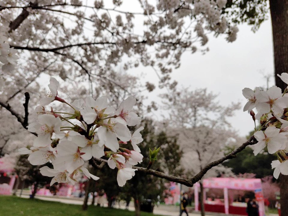 _dPUBAVoqqJCop2pr7jZvzosdwqyrdlejsSVRUkb-itkdUwlFVmrouFoNMqlkC5u