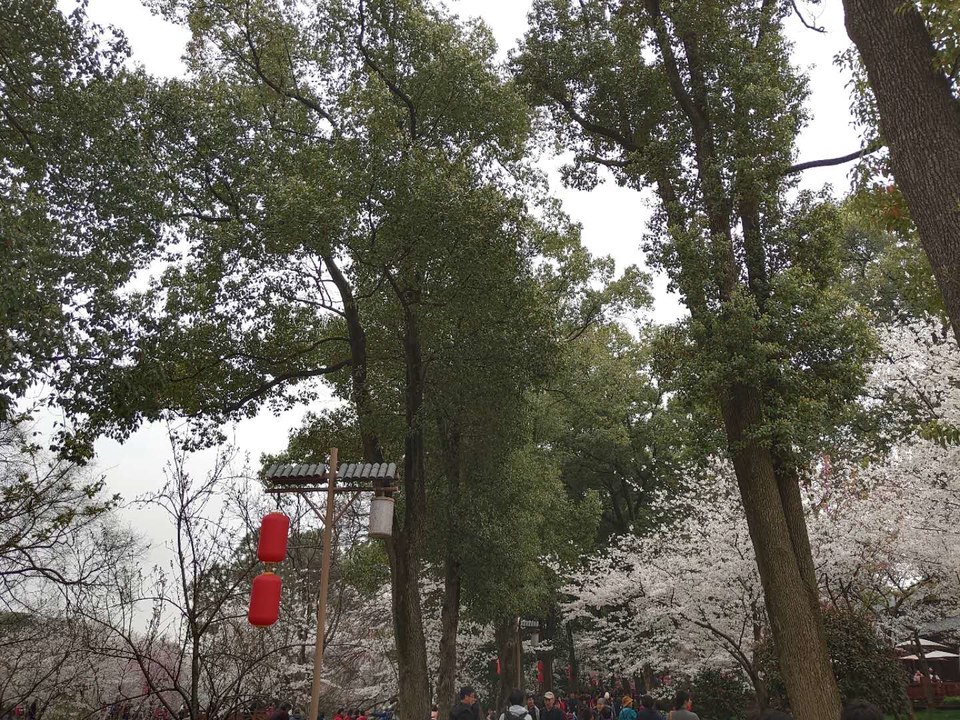 vND5-XyOdxLbNXI3tNceH1_10G0Qu60aHzscjCu6G4937vCzf87dr2_yGHD_-pLr