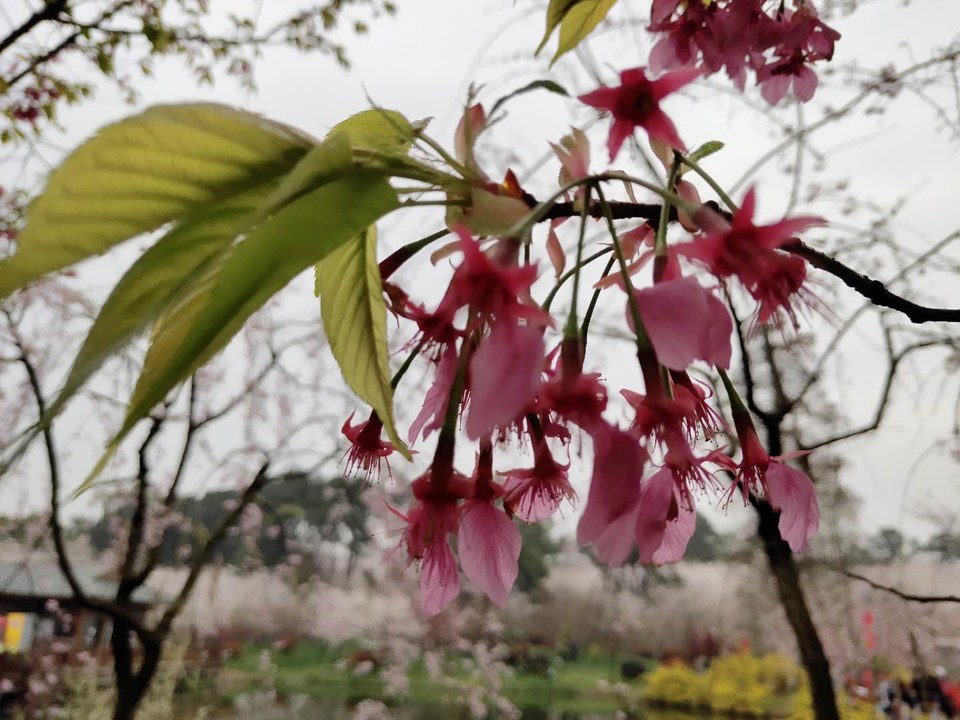 0lb9K3JtXabUENHXsTYFpBfzGRrblwNmqEfwRj7Bu-fsjg2Z8eg6tBL7Sj594uaf