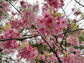 2IVokvG3sIxTIW-WVyTnWoxsCFGTEFgx2DWwY1vpvu1EnZlp0THSPJP7R1sFwErI