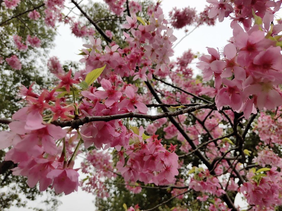 l8exyk2tJh8B9PQbKitNWF7lEL5M7DnZoh_4GIGIUX_ZyGnol8N3_tcDr3i7CU7A