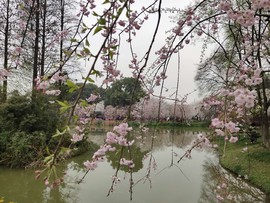 su4Ilm2XlTcj93tjbeaCVSgjhawhccxeX_iKkp1IkseO5U_IcJI7sDgjhnTH6IM8