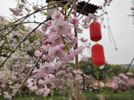 ZoQZYVZ_G1qvNEvjkcd9_7LqIZG1LHcX96_aie4mIwO6GT8VzLEobj4kZt_XEW1_