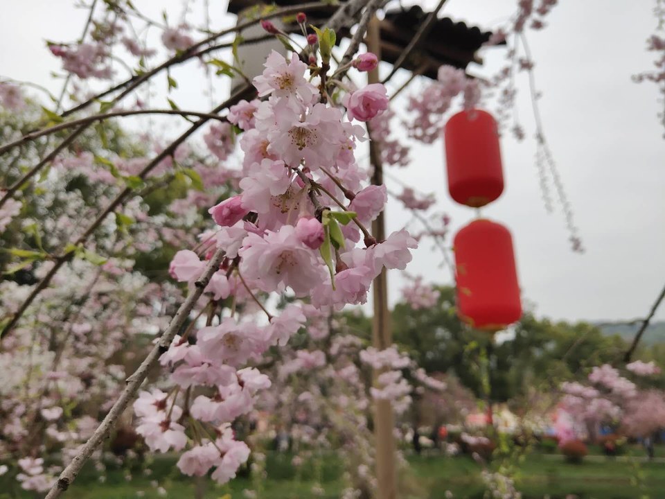 ZoQZYVZ_G1qvNEvjkcd9_7LqIZG1LHcX96_aie4mIwO6GT8VzLEobj4kZt_XEW1_