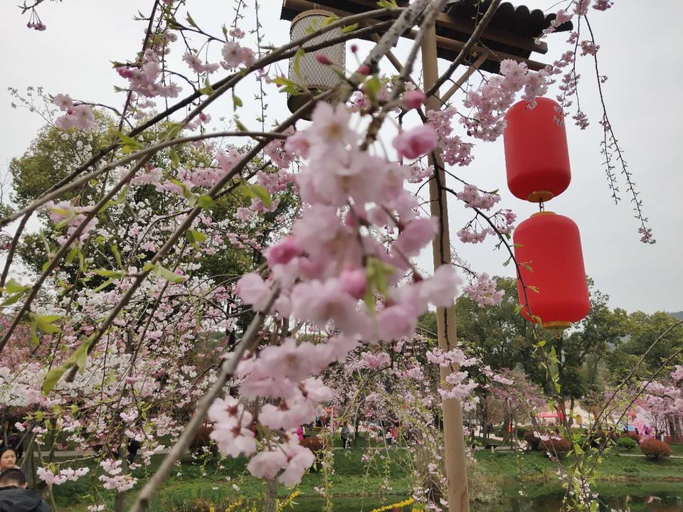 SZXNCoDARihboY8z5ULukWi2fa9fcXDiXl6ljoo0VGHxQMql8AEolMxtwUqpWNOr