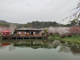 pfYq4K55ex3M3FcCLRUGISPa7B1kUKlwQHfMnWrDpfdUcKB5JJ0XA6AZBc5mVHdu