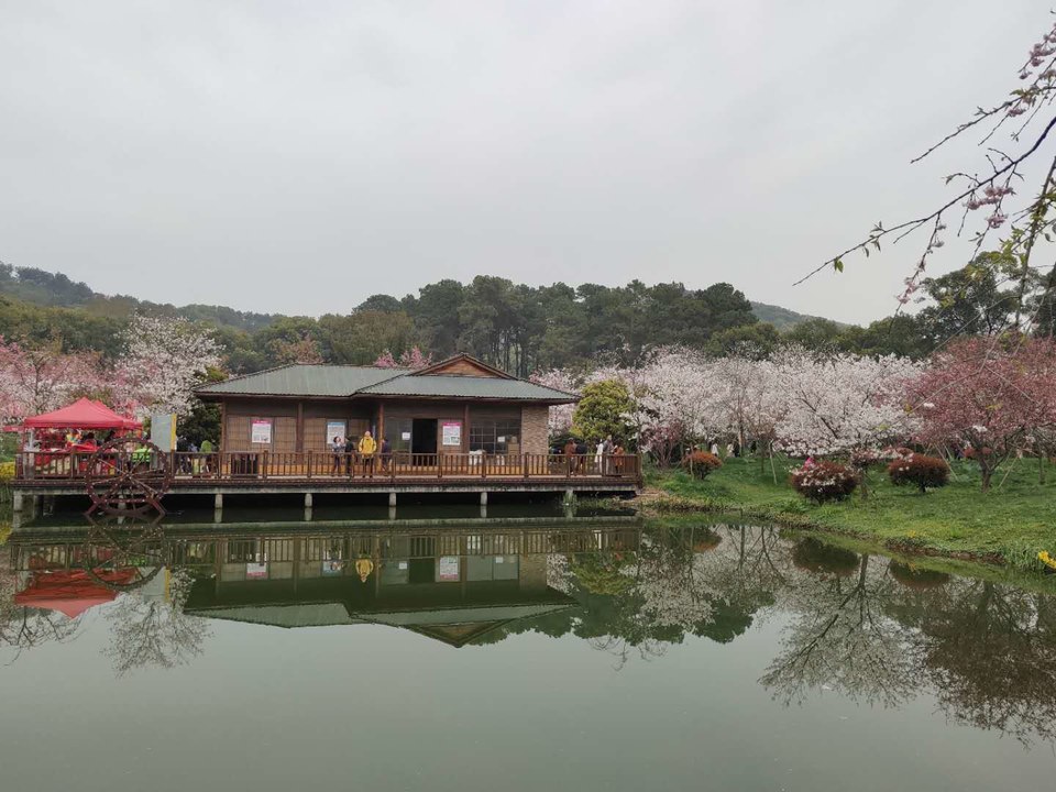 pfYq4K55ex3M3FcCLRUGISPa7B1kUKlwQHfMnWrDpfdUcKB5JJ0XA6AZBc5mVHdu