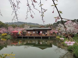 gqsO0oIzL8y7AWsGhLUIp_z_CF2XHzAKjxJEJWlGonBWZAvK-FO7BrHDBHsAKbHU