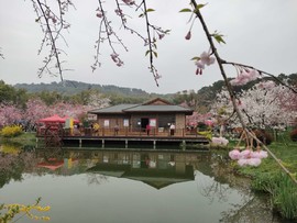 qWeVIjwA3tRb2yNUGl7ZlWbMGlTTAg9P6BebSQEFeEjJqaASfgCI9FAMjxEcpcM9