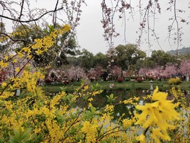 gp8pmbfpEkandtJojvHkSh0D6DjvP4vzoUfZDcFNH4k6o-Ig2NBtMxhHmUVOjJgw